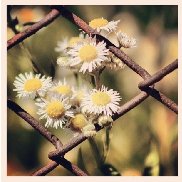 ☘️ Welcome to my closet ☘️ - Picture 4 of 7